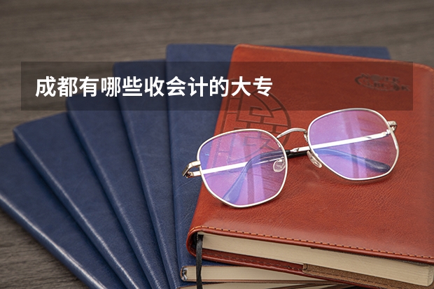 成都有哪些收会计的大专