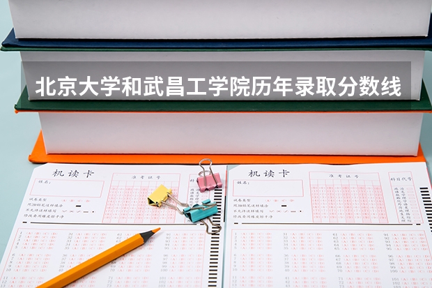 北京大学和武昌工学院历年录取分数线对比