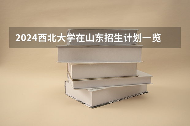 2024西北大学在山东招生计划一览表