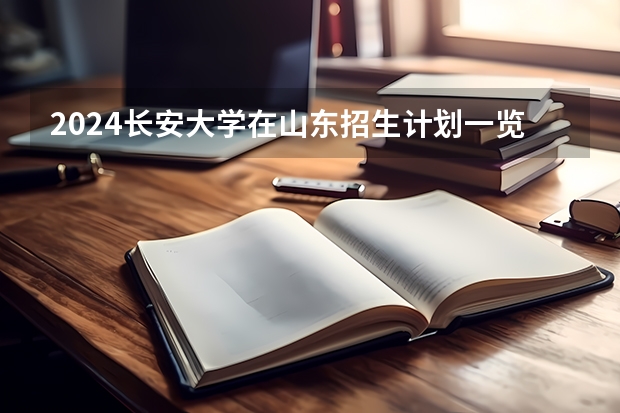 2024长安大学在山东招生计划一览表