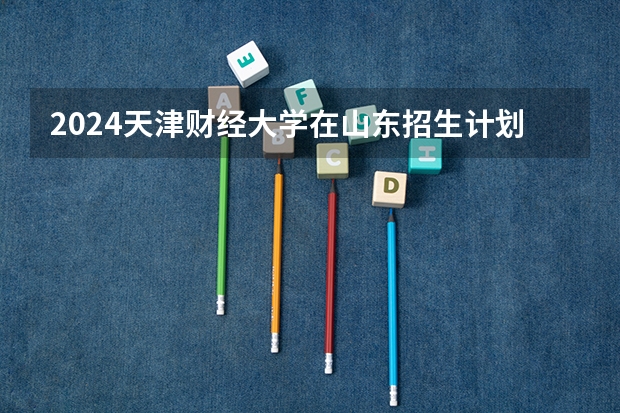 2024天津财经大学在山东招生计划一览表