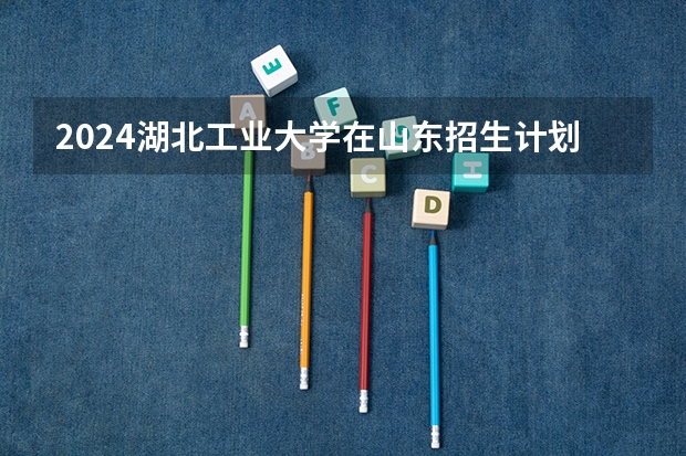 2024湖北工业大学在山东招生计划一览表