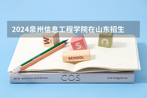 2024泉州信息工程学院在山东招生计划一览表