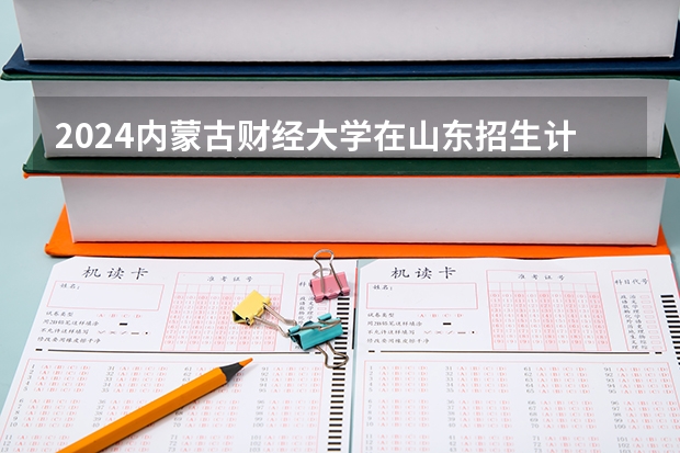 2024内蒙古财经大学在山东招生计划一览表