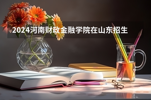 2024河南财政金融学院在山东招生计划一览表