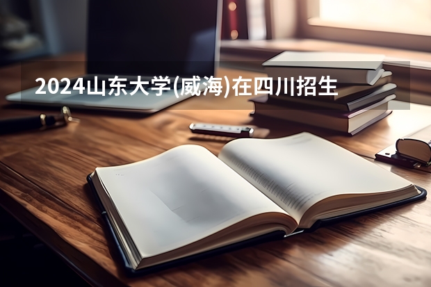 2024山东大学(威海)在四川招生计划一览表