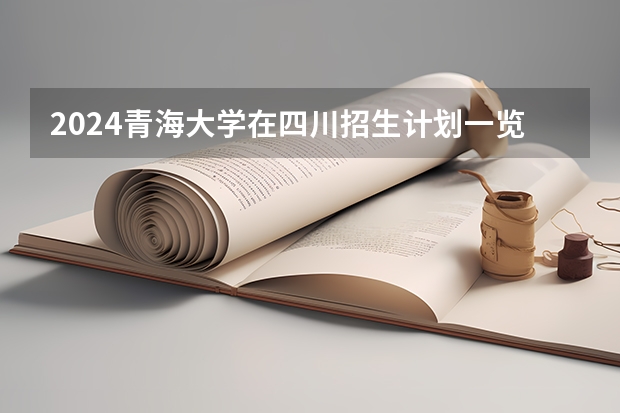 2024青海大学在四川招生计划一览表