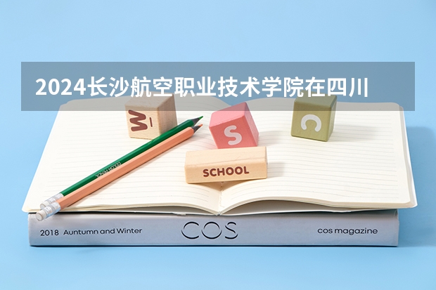 2024长沙航空职业技术学院在四川招生计划一览表
