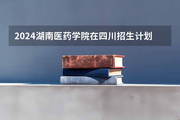 2024湖南医药学院在四川招生计划一览表