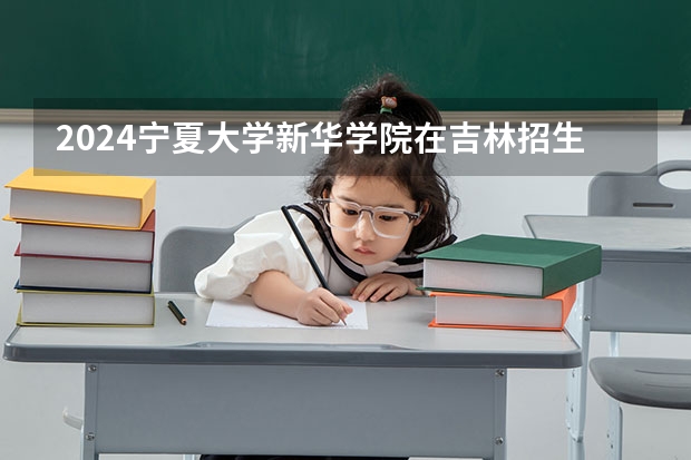 2024宁夏大学新华学院在吉林招生计划一览表