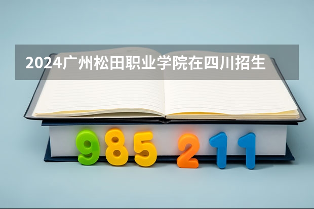 2024广州松田职业学院在四川招生计划一览表