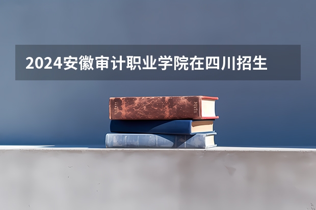 2024安徽审计职业学院在四川招生计划一览表