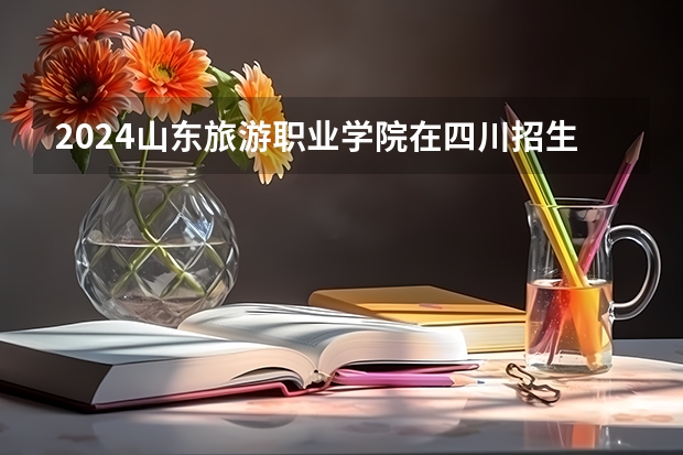 2024山东旅游职业学院在四川招生计划一览表