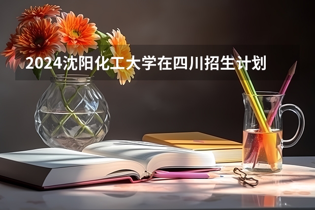 2024沈阳化工大学在四川招生计划一览表