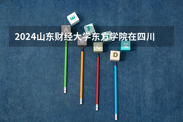 2024山东财经大学东方学院在四川招生计划一览表