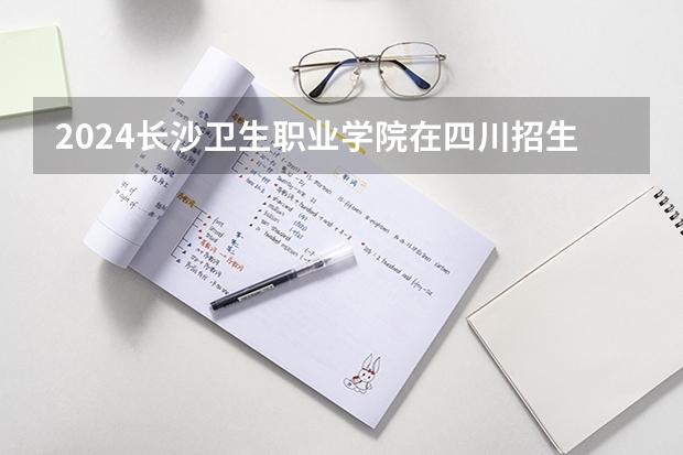 2024长沙卫生职业学院在四川招生计划一览表