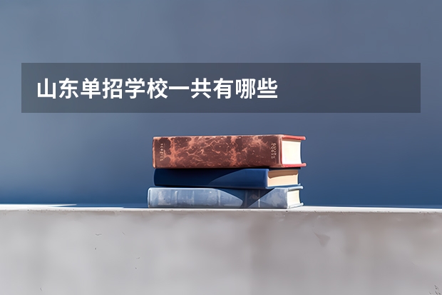山东单招学校一共有哪些