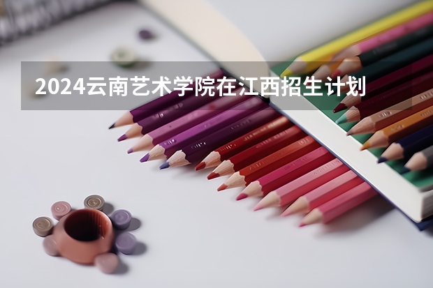 2024云南艺术学院在江西招生计划一览表