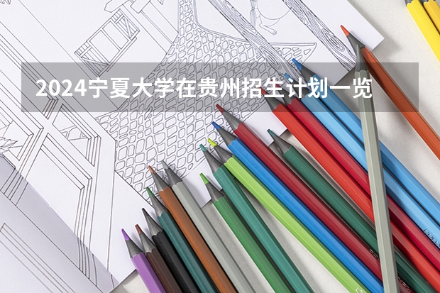 2024宁夏大学在贵州招生计划一览表
