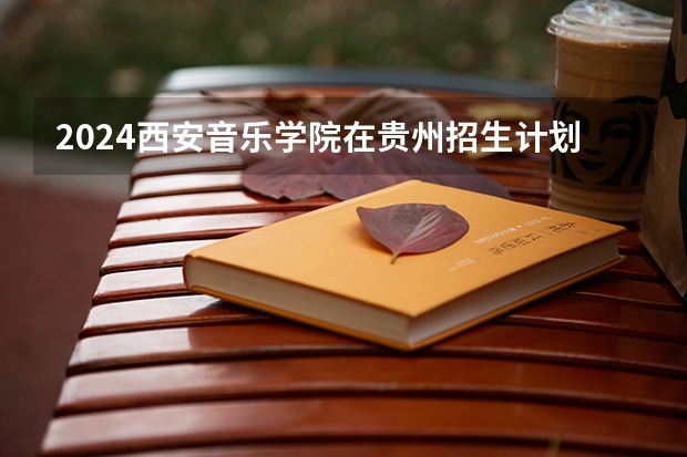 2024西安音乐学院在贵州招生计划一览表