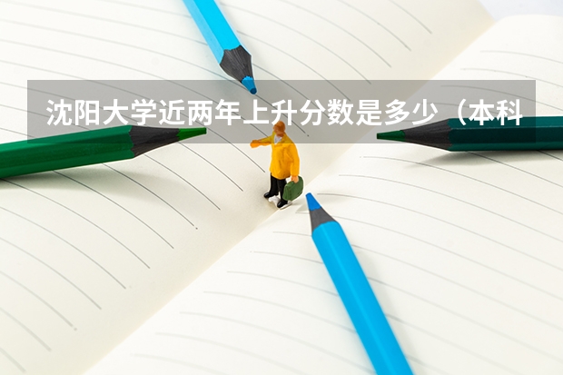 沈阳大学近两年上升分数是多少（本科）