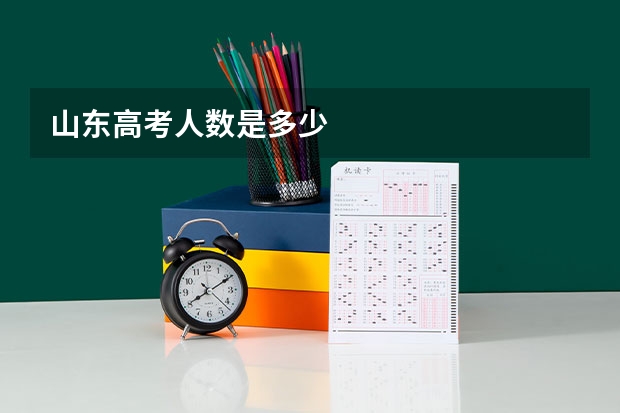 山东高考人数是多少