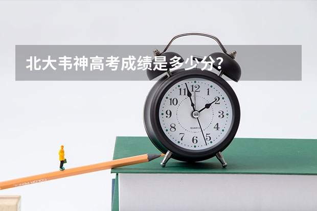 北大韦神高考成绩是多少分？