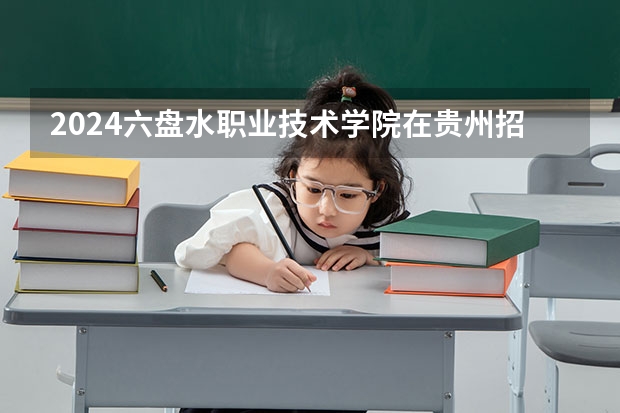 2024六盘水职业技术学院在贵州招生计划一览表