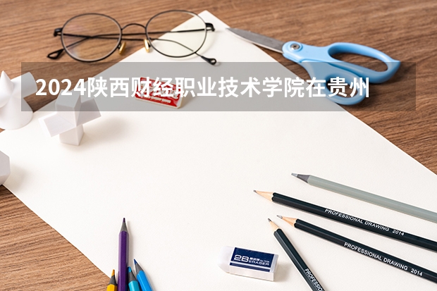 2024陕西财经职业技术学院在贵州招生计划一览表