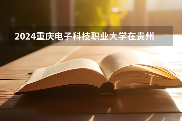 2024重庆电子科技职业大学在贵州招生计划一览表