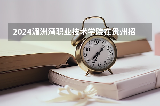 2024湄洲湾职业技术学院在贵州招生计划一览表
