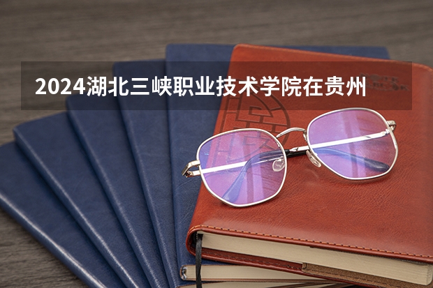 2024湖北三峡职业技术学院在贵州招生计划一览表
