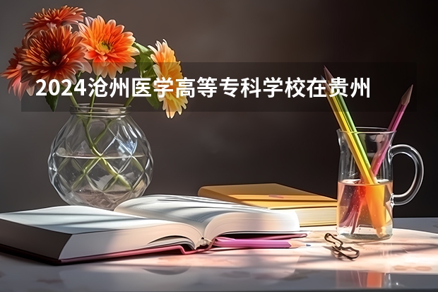 2024沧州医学高等专科学校在贵州招生计划一览表
