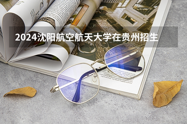 2024沈阳航空航天大学在贵州招生计划一览表