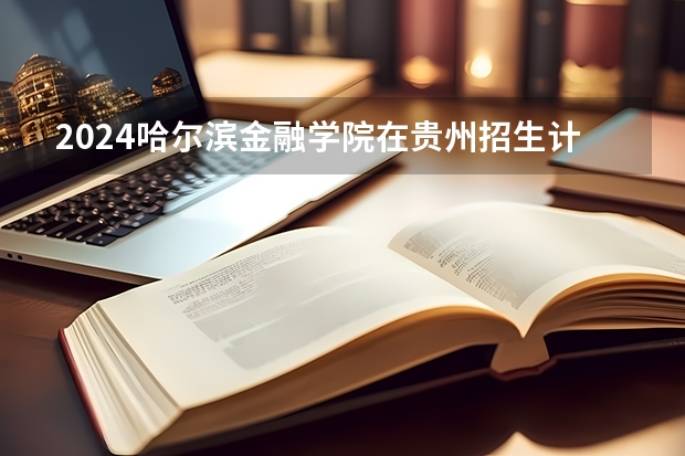 2024哈尔滨金融学院在贵州招生计划一览表