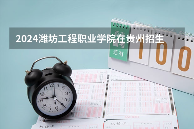 2024潍坊工程职业学院在贵州招生计划一览表