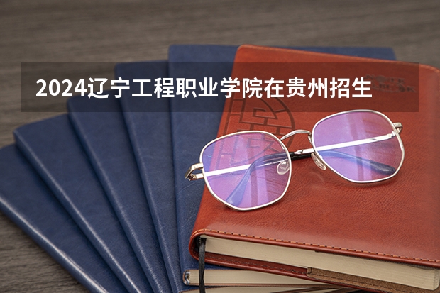 2024辽宁工程职业学院在贵州招生计划一览表