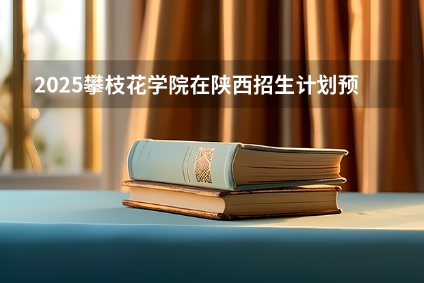2025攀枝花学院在陕西招生计划预测