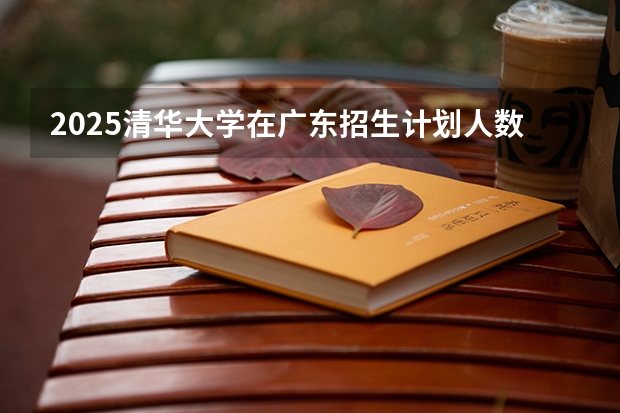 2025清华大学在广东招生计划人数汇总