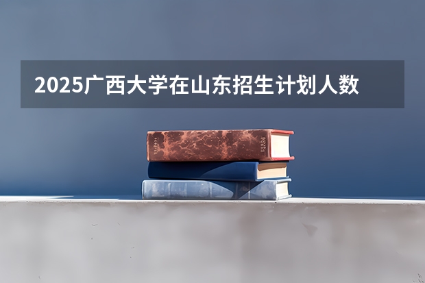 2025广西大学在山东招生计划人数汇总