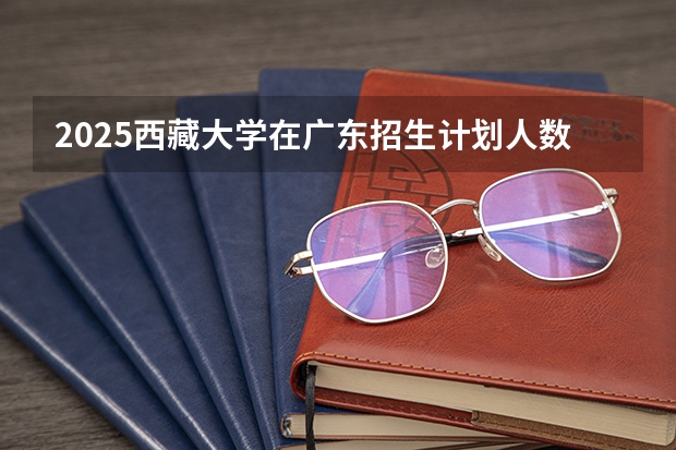 2025西藏大学在广东招生计划人数汇总