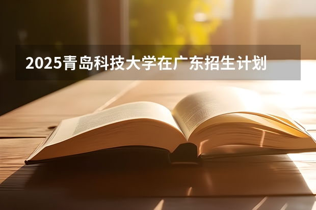 2025青岛科技大学在广东招生计划人数汇总