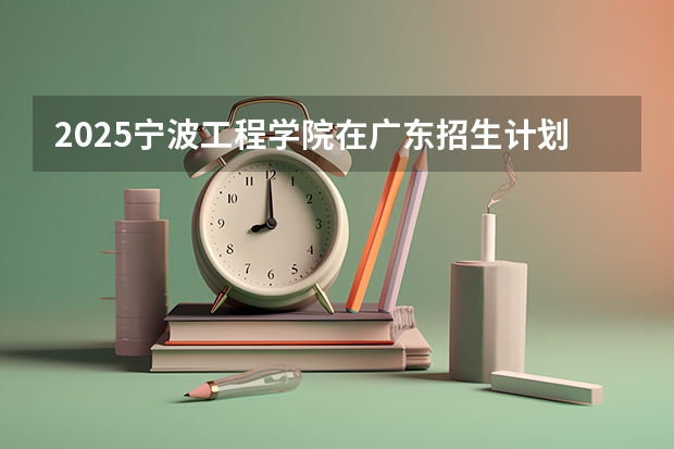 2025宁波工程学院在广东招生计划人数汇总