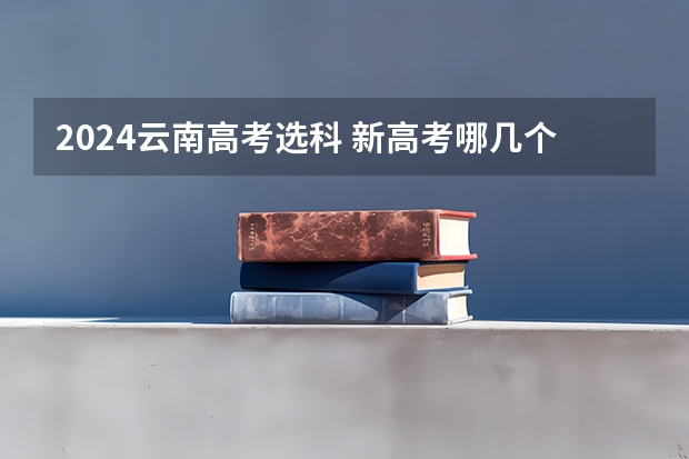 2024云南高考选科 新高考哪几个省份2024？