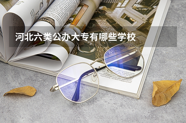 河北六类公办大专有哪些学校