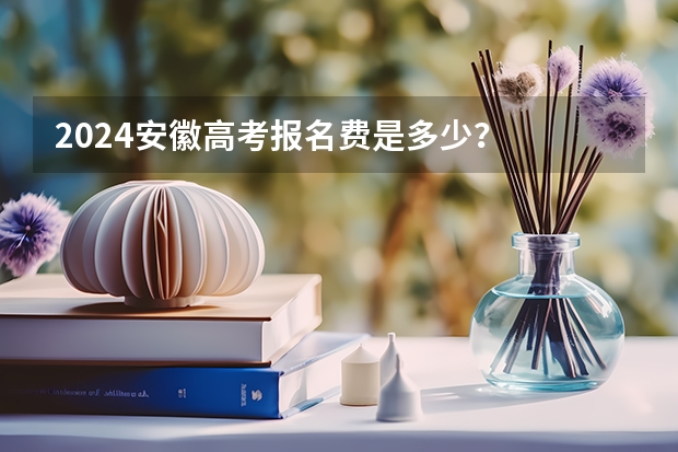 2024安徽高考报名费是多少？