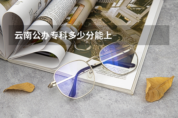 云南公办专科多少分能上