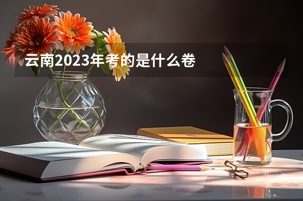 云南2023年考的是什么卷