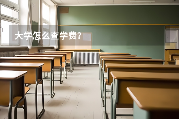 大学怎么查学费？
