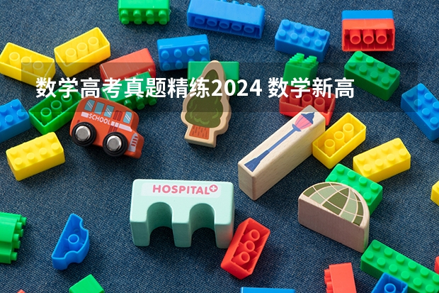 数学高考真题精练2024 数学新高考一卷试题及答案